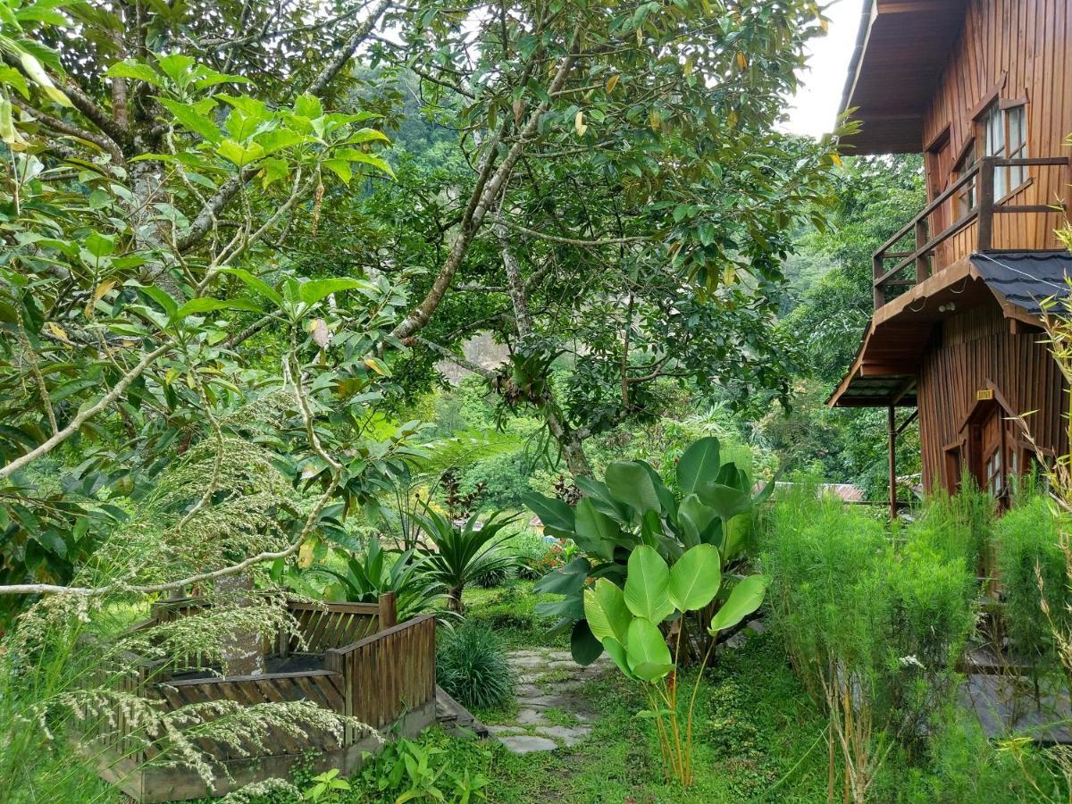 Canyon Jungle Stay 武吉丁宜 外观 照片